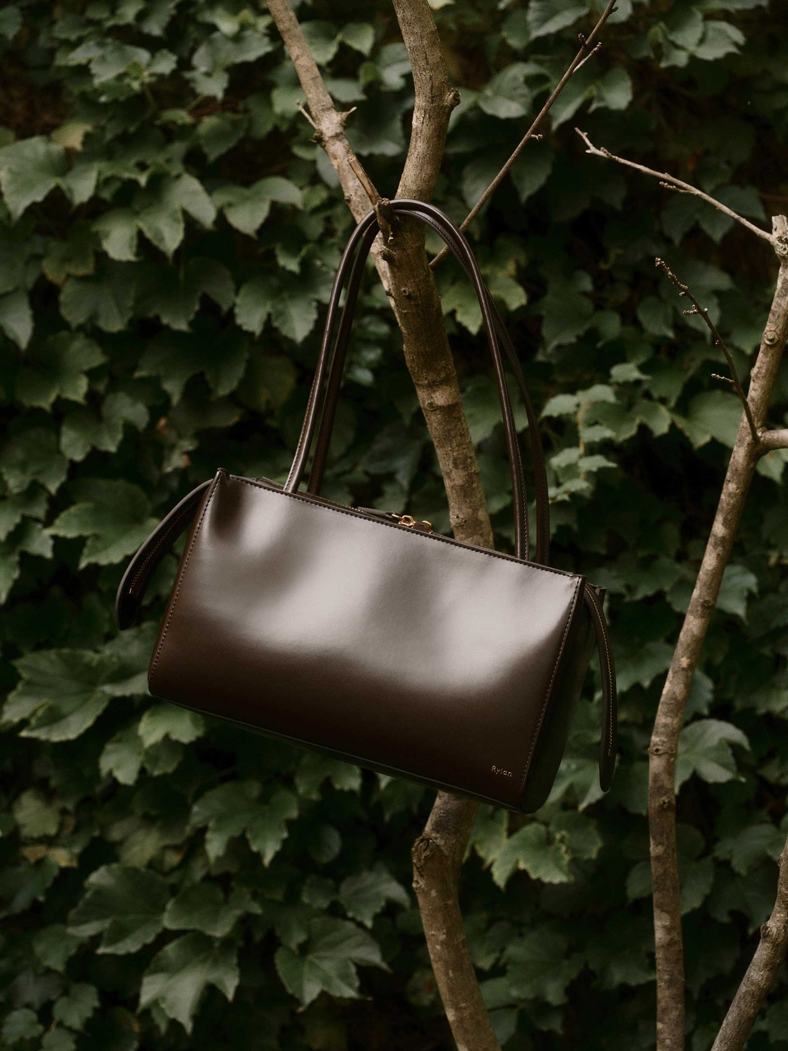 Rylan, Rylan Studio, Dark Brown Shoulder Bag, 23.66, Brooke Testoni